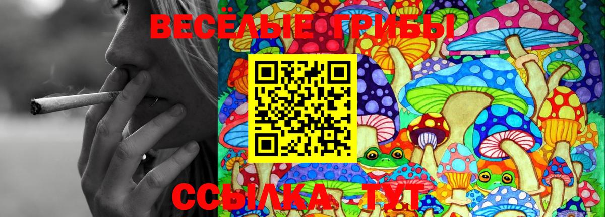 Галлюциногенные грибы прущие грибы  Псилоцибиновые грибы MAGIC MUSHROOMS  Лениногорск  Вход с VPN 